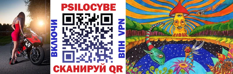 дарнет шоп  Оленегорск  Псилоцибиновые грибы Cubensis 